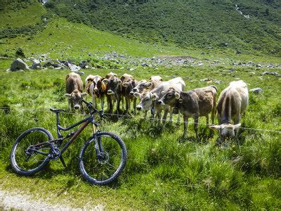 biken in uri|Top 20 Most Beautiful MTB Trails in Uri .